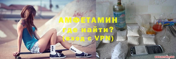 прущие грибы Алагир