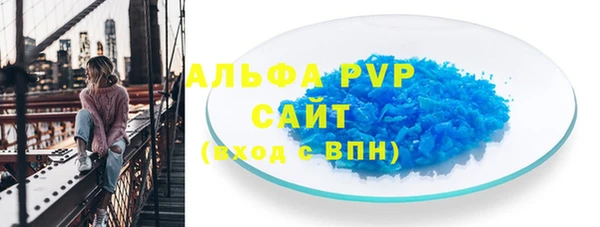 прущие грибы Алагир