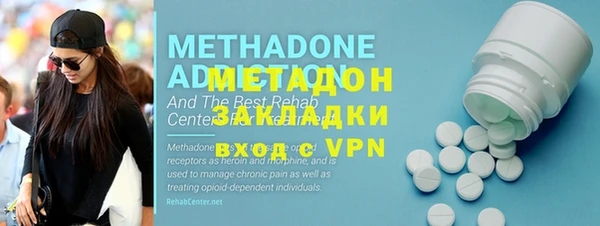 прущие грибы Алагир