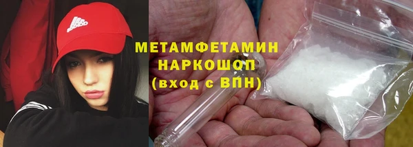 прущие грибы Алагир