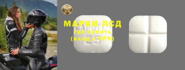 прущие грибы Алагир