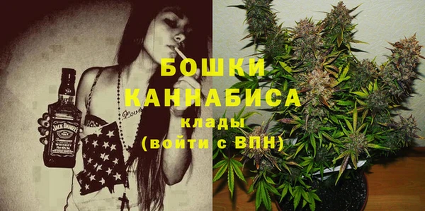 МДПВ Алапаевск