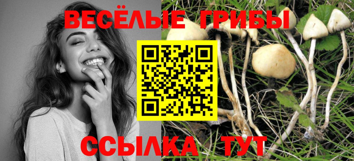 Псилоцибиновые грибы Psilocybine cubensis  Вход с VPN  Карасук 